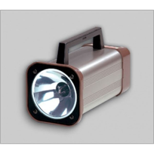 Digital White-Light Stroboscope