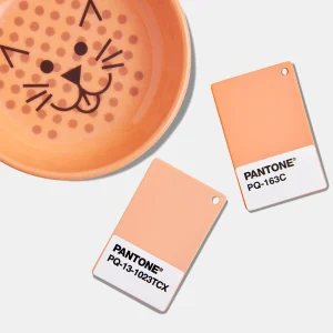 Plastic Chip, PANTONE COLOR OF THE YEAR 2024, 13-1023 PEACH FUZZ